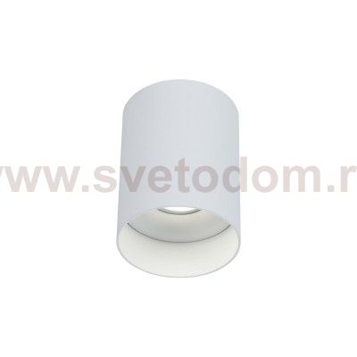 Потолочный светильник Maytoni C014CL-01W Alfa