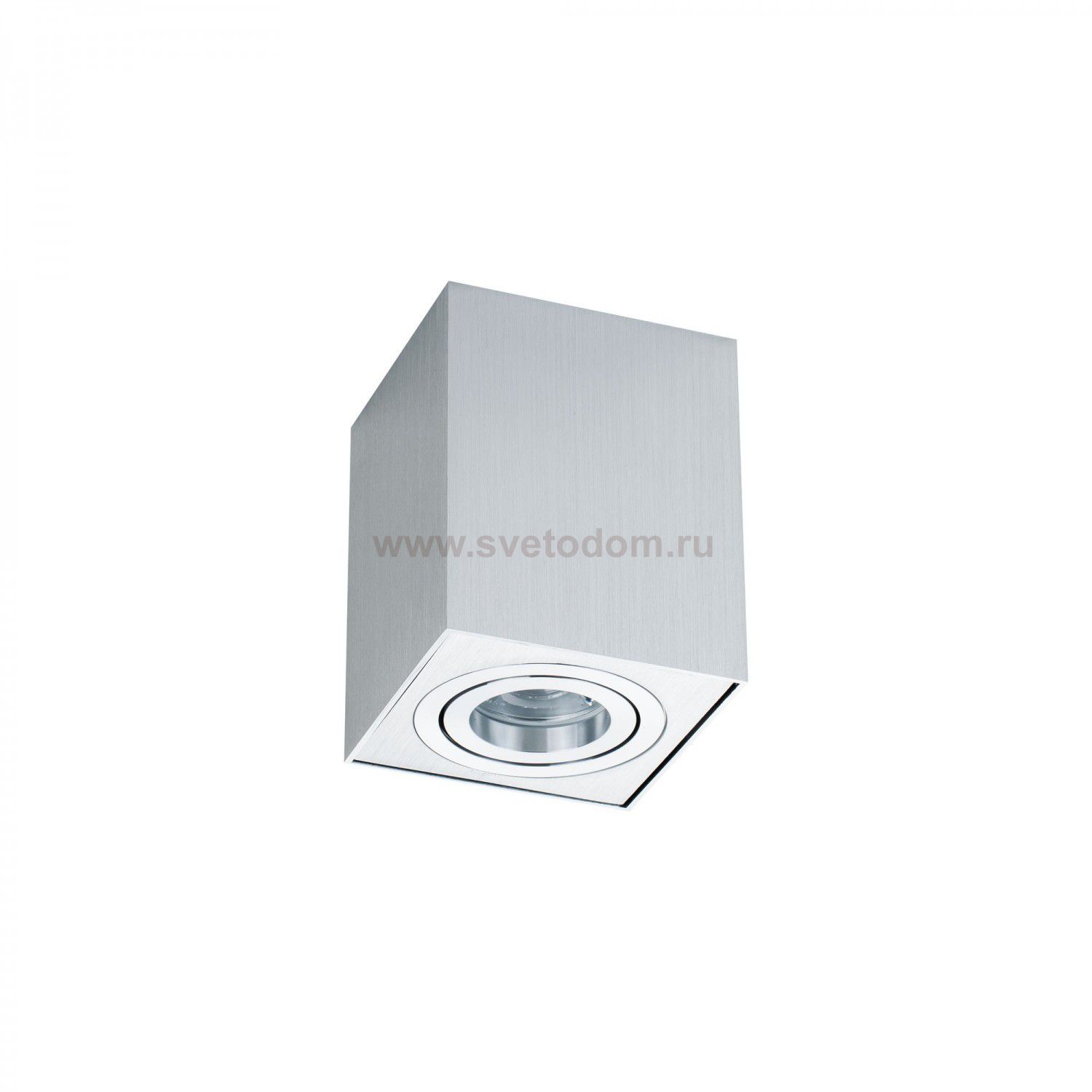 Потолочный светильник Maytoni C017CL-01S Alfa