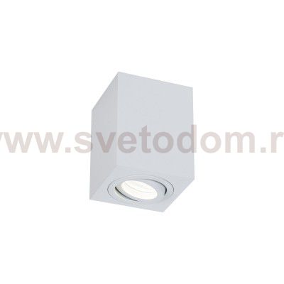 Потолочный светильник Maytoni C017CL-01W Alfa