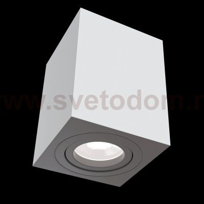 Потолочный светильник Maytoni C017CL-01W Alfa