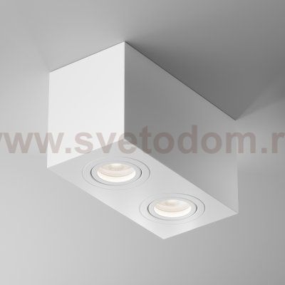 Потолочный светильник Maytoni C017CL-02W Atom