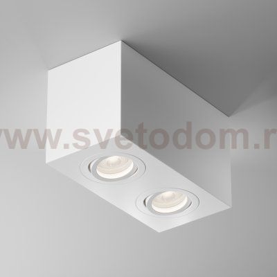 Потолочный светильник Maytoni C017CL-02W Atom