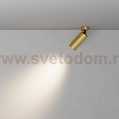 Потолочный светильник Technical C017CW-01MG-N