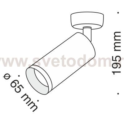 Потолочный светильник Maytoni C017CW-01MG Focus