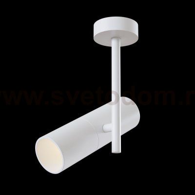 Потолочный светильник Maytoni C020CL-01W Elti