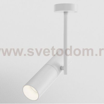 Потолочный светильник Maytoni C020CL-01W Elti