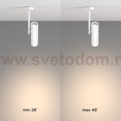 Потолочный светильник Maytoni C020CL-01W Elti
