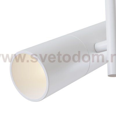 Потолочный светильник Maytoni C020CL-01W Elti