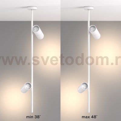Потолочный светильник Maytoni C021CL-02W Elti
