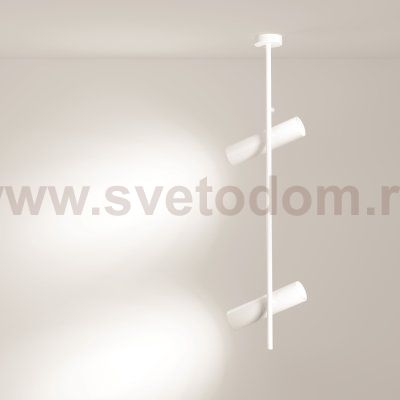 Потолочный светильник Maytoni C021CL-02W Elti