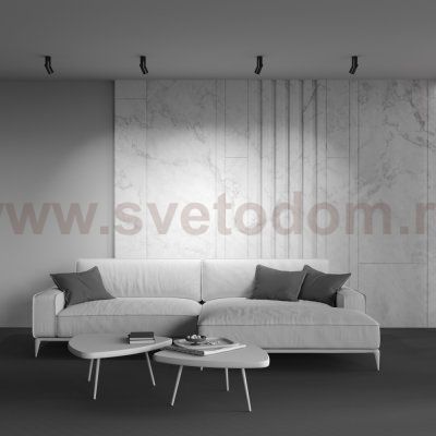 Потолочный светильник Maytoni C027CL-L10B4K Dafne