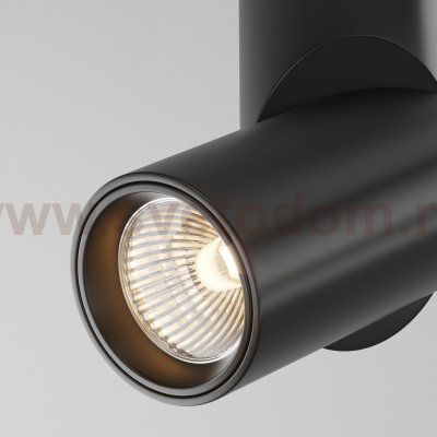 Потолочный светильник Maytoni C027CL-L10B Dafne