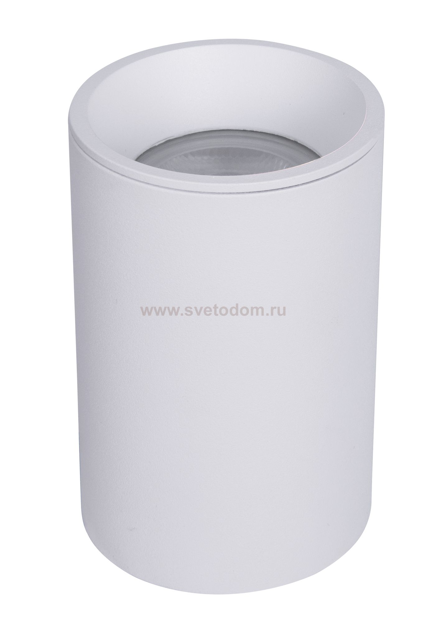 Потолочный светильник Maytoni C029CL-01-S-W Zoom