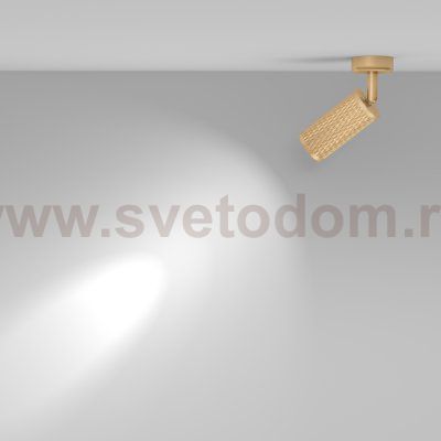 Потолочный светильник Maytoni C034CL-01G Focus Design