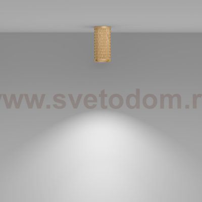 Потолочный светильник Maytoni C036CL-01G Focus Design
