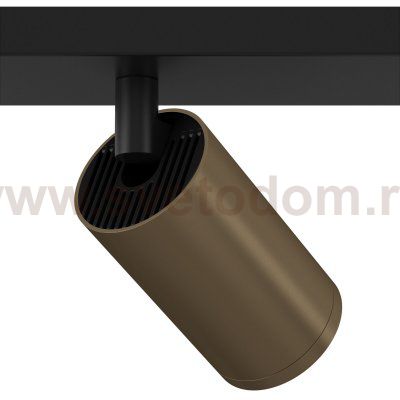 Потолочный светильник Maytoni C051CL-02BBZ FOCUS S