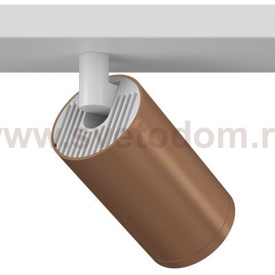 Потолочный светильник Maytoni C051CL-2WC FOCUS S