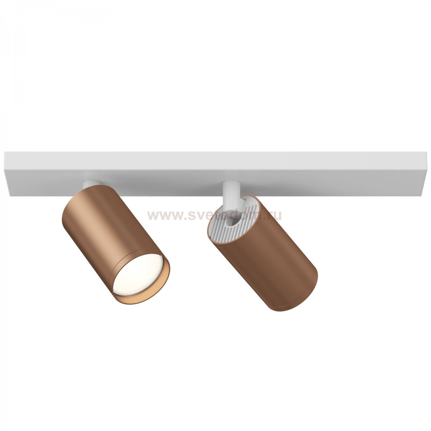 Потолочный светильник Maytoni C051CL-2WC FOCUS S