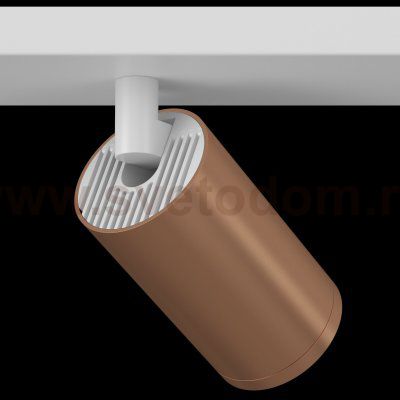 Потолочный светильник Maytoni C051CL-2WC FOCUS S