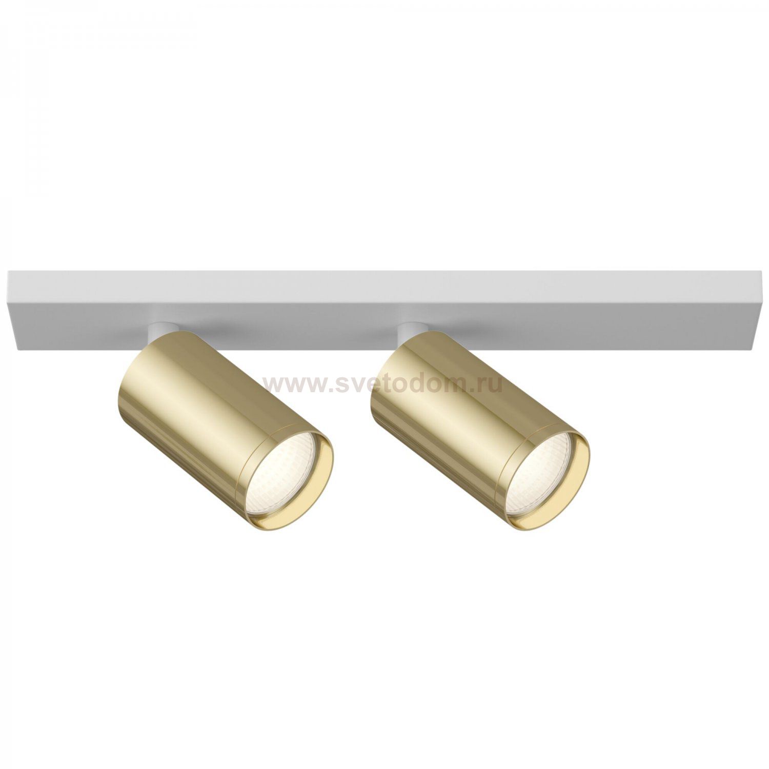 Потолочный светильник Maytoni C051CL-2WG FOCUS S