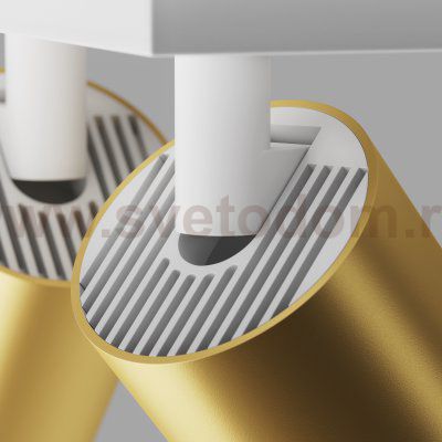 Потолочный светильник Maytoni C051CL-U-2WMG FOCUS S