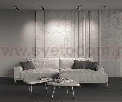 Потолочный светильник Maytoni C055CL-L12W3K-W-BS FOCUS LED