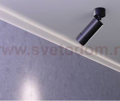 Потолочный светильник Maytoni C055CL-L12W3K-Z-B Focus Zoom