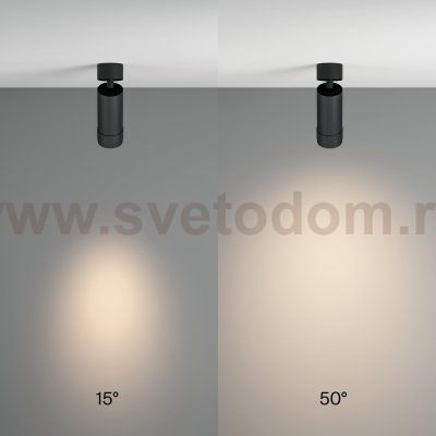 Потолочный светильник Maytoni C055CL-L12W4K-Z-B Focus Zoom