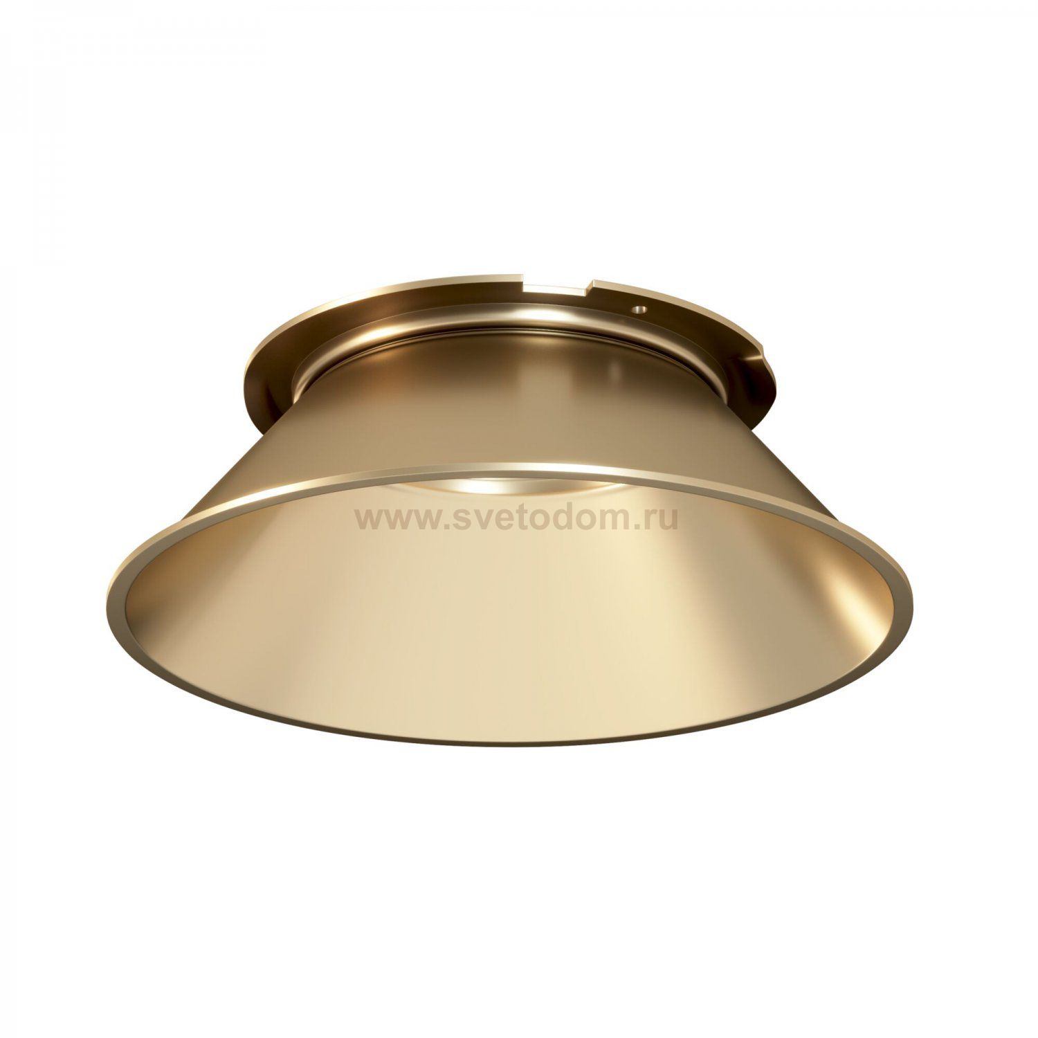 Аксессуар Maytoni C060-01MG Virar