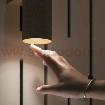 Настенный светильник (бра) Maytoni C069WL-02B Focus Design