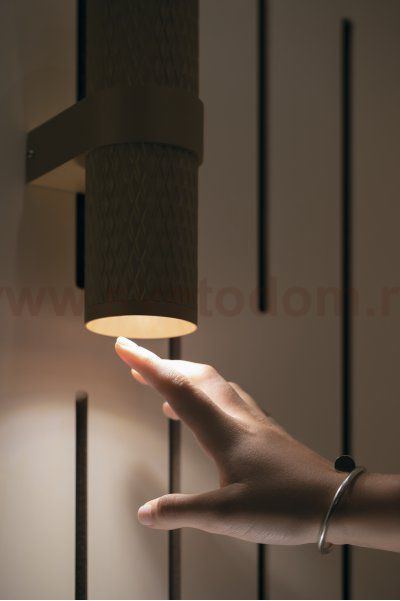Настенный светильник (бра) Maytoni C069WL-02B Focus Design