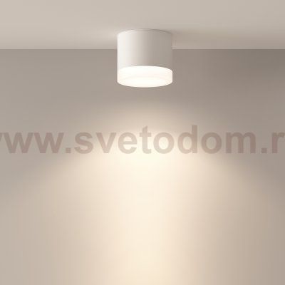 Потолочный светильник Maytoni C087CL-GX53-W Pauline
