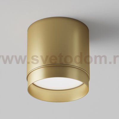 Потолочный светильник Maytoni C088CL-GX53-MG Polar