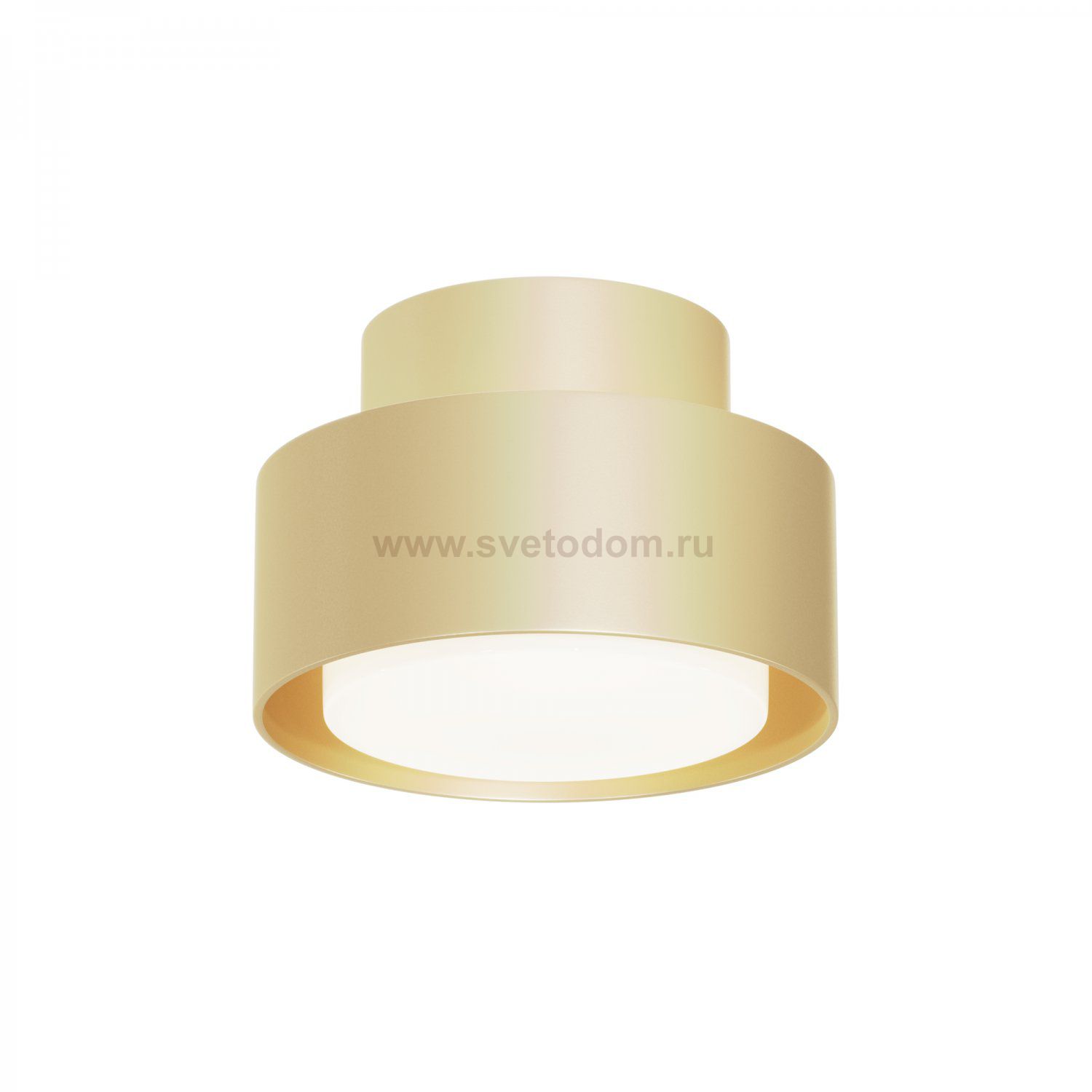 Потолочный светильник Maytoni C092CL-GX53-MG Space