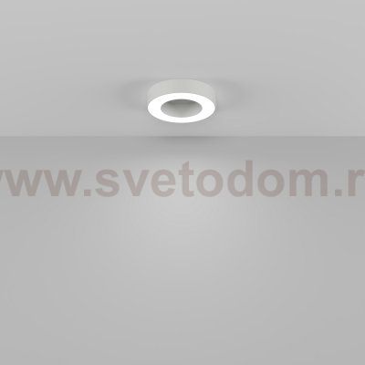 Потолочный светильник Technical C093CL-24W4K-W