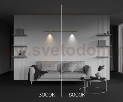 Светильник Technical C102CL-3W3-6K-BS