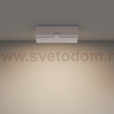 Потолочный светильник Maytoni C133CL-12W3K-W Basis Rot