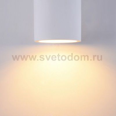 Светильник настенный Maytoni C191-WL-02-W Parma