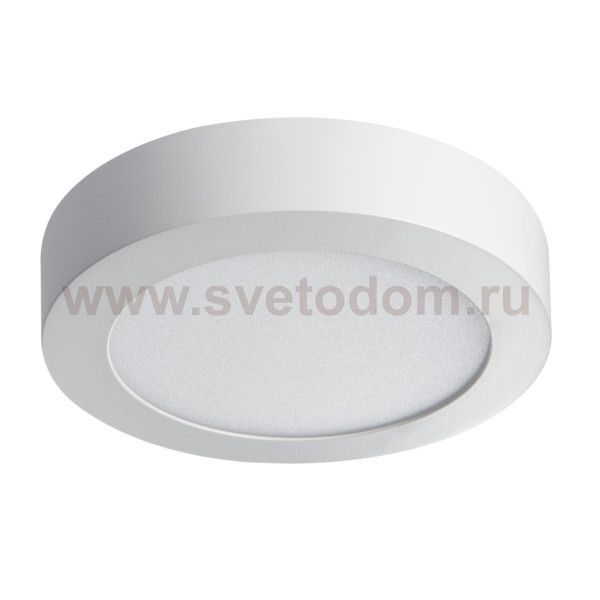 Накладной потолочный светодиодный светильник Kanlux CARSA V2LED 12W-NW-W (28948)
