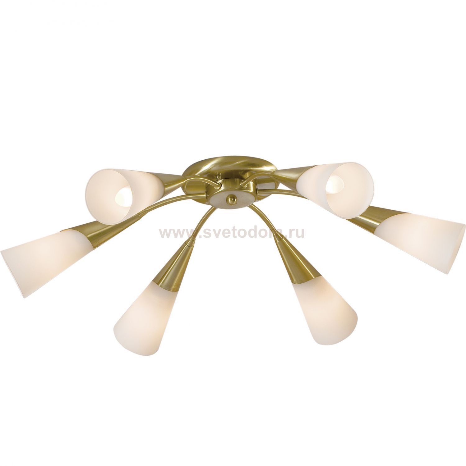 Люстра Citilux CL103162 Фокус