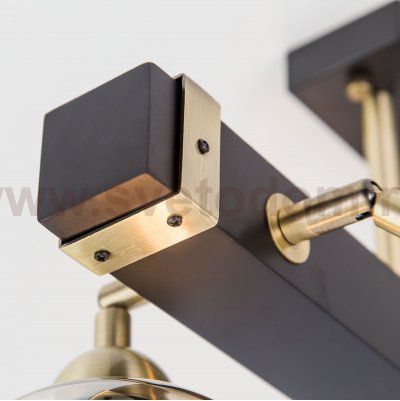 Люстра на штанге Citilux CL118165 Болеро