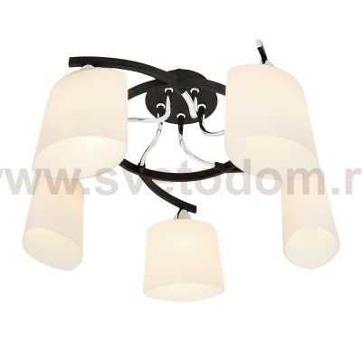 Люстра Citilux CL136151 Тайфун