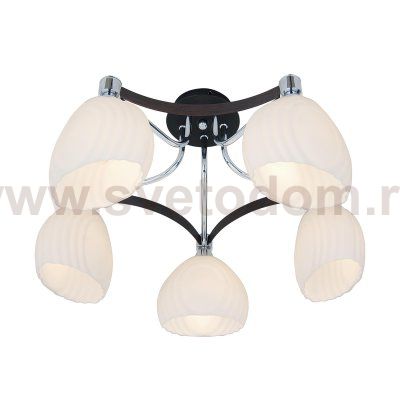 Люстра Citilux CL143151 Ирис