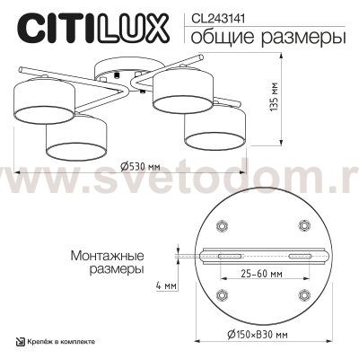 Citilux CL243141
