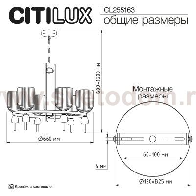 Citilux CL255163