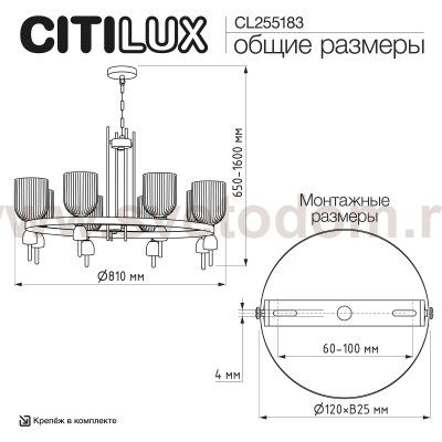 Citilux CL255183