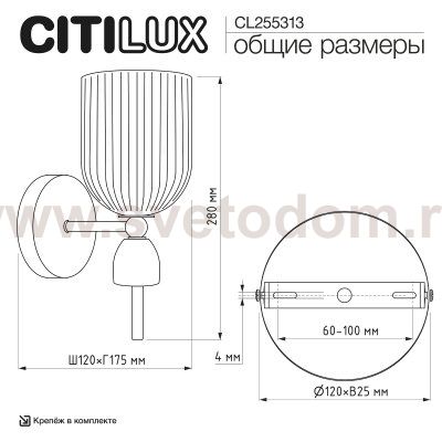Citilux CL255313