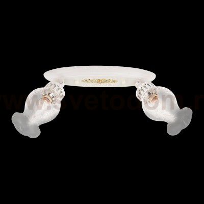 Светильник поворотный спот Citilux CL413122 Метафора