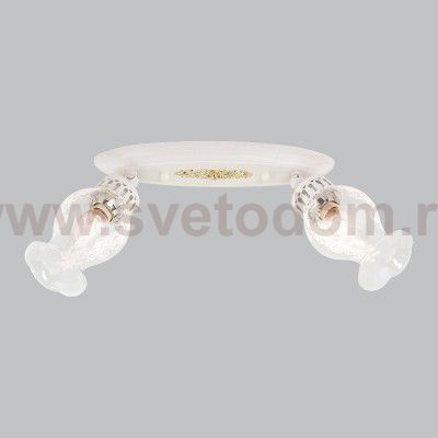 Светильник поворотный спот Citilux CL413122 Метафора