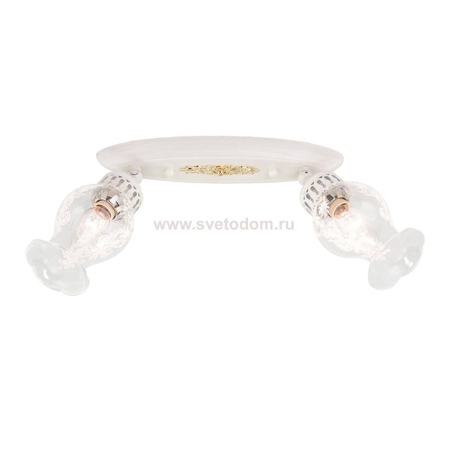 Светильник поворотный спот Citilux CL413122 Метафора